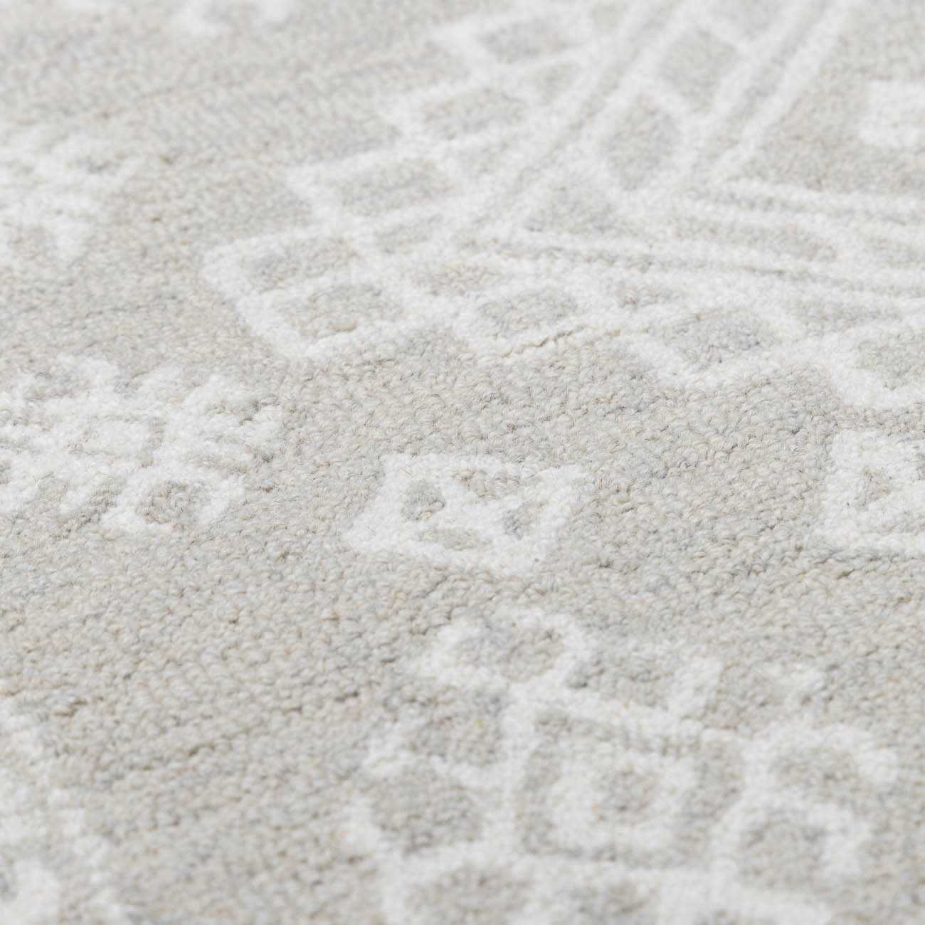 Paloma Area Rug