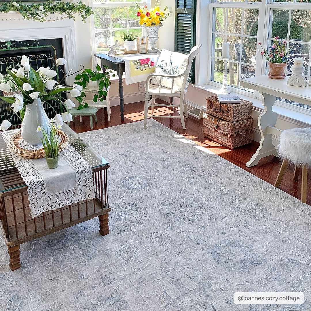 Albuquerque Area Rug - Quahog Bay Bedding