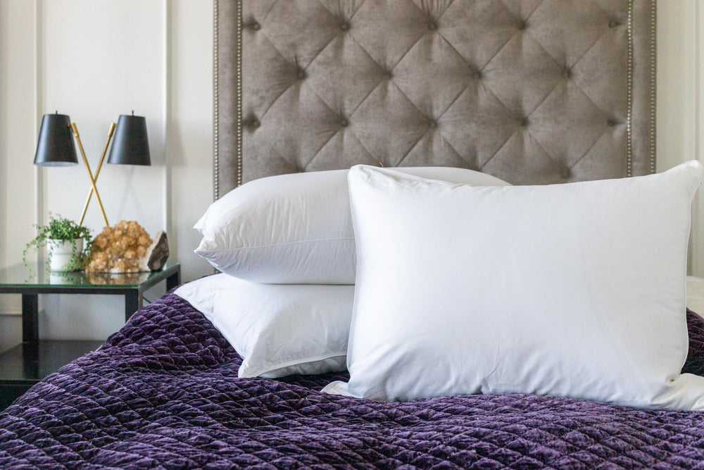 Bohemia Pillow - Luxury American Made Egyptian Cotton Goose Down - Quahog Bay Bedding
