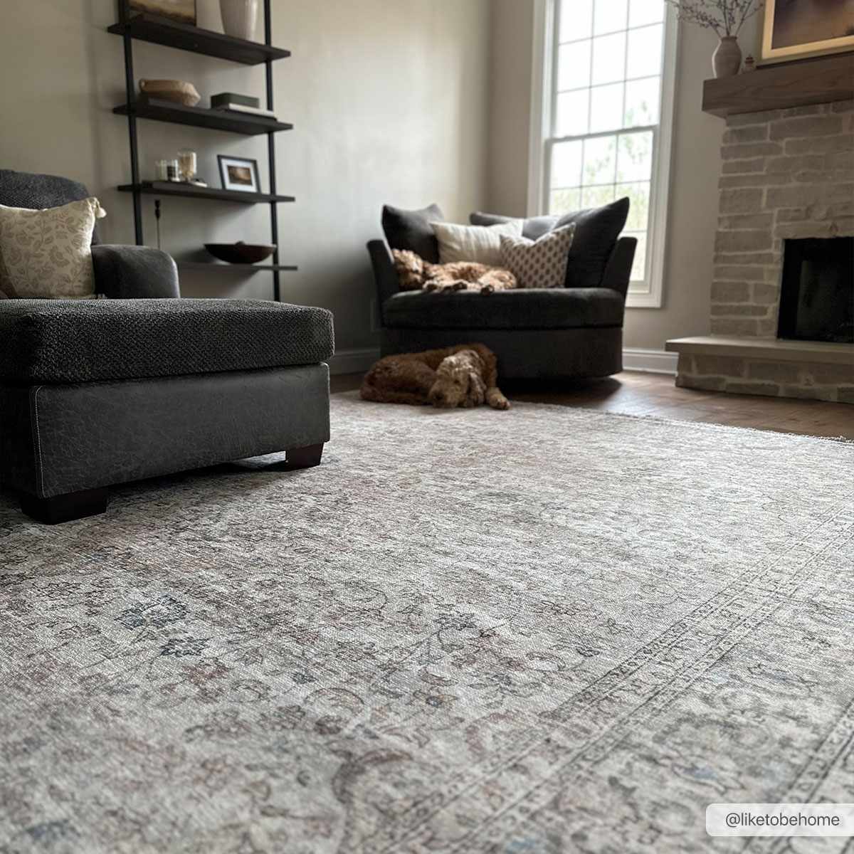 Cream Holi - 2301 Washable Area Rug - Quahog Bay Bedding