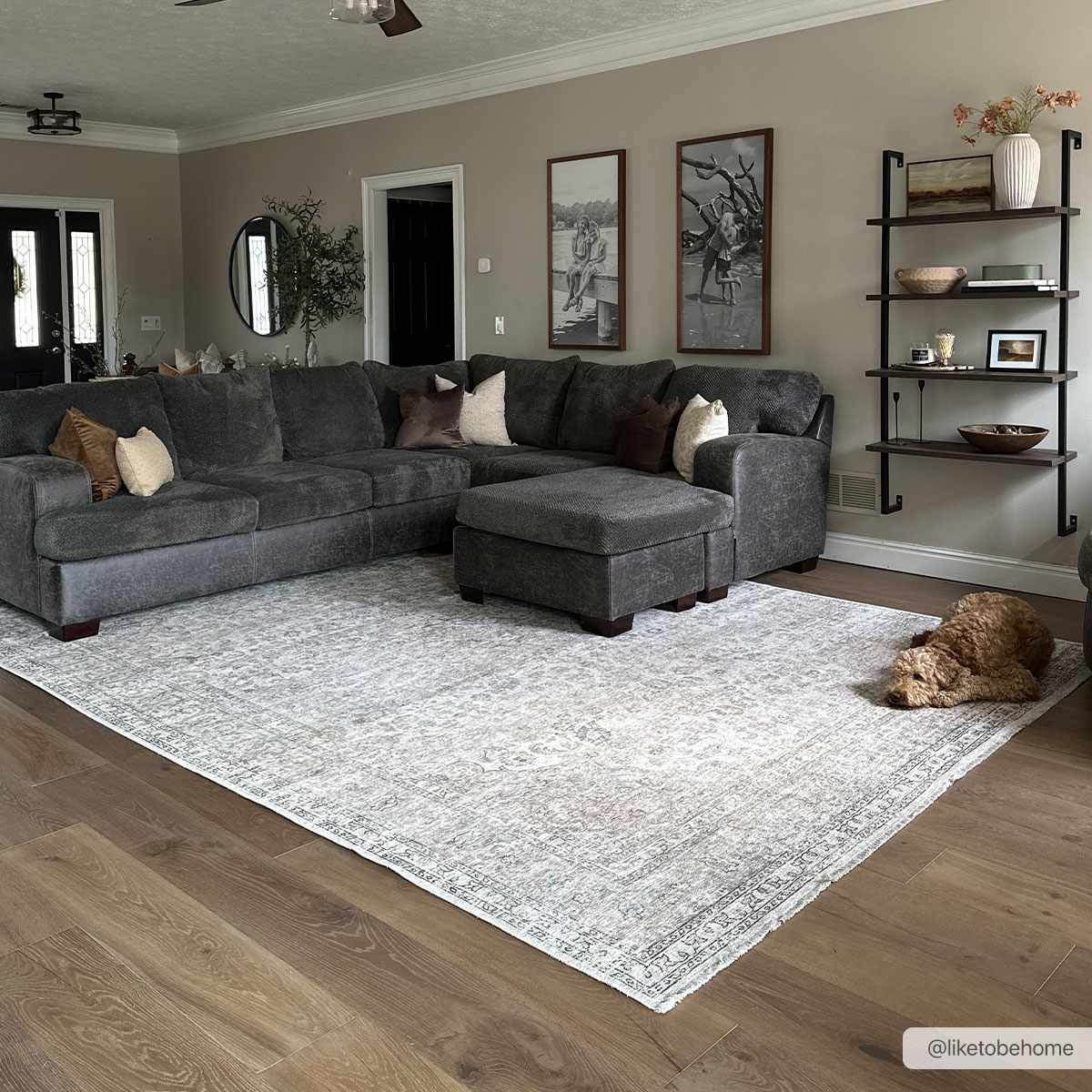 Cream Holi - 2301 Washable Area Rug - Quahog Bay Bedding