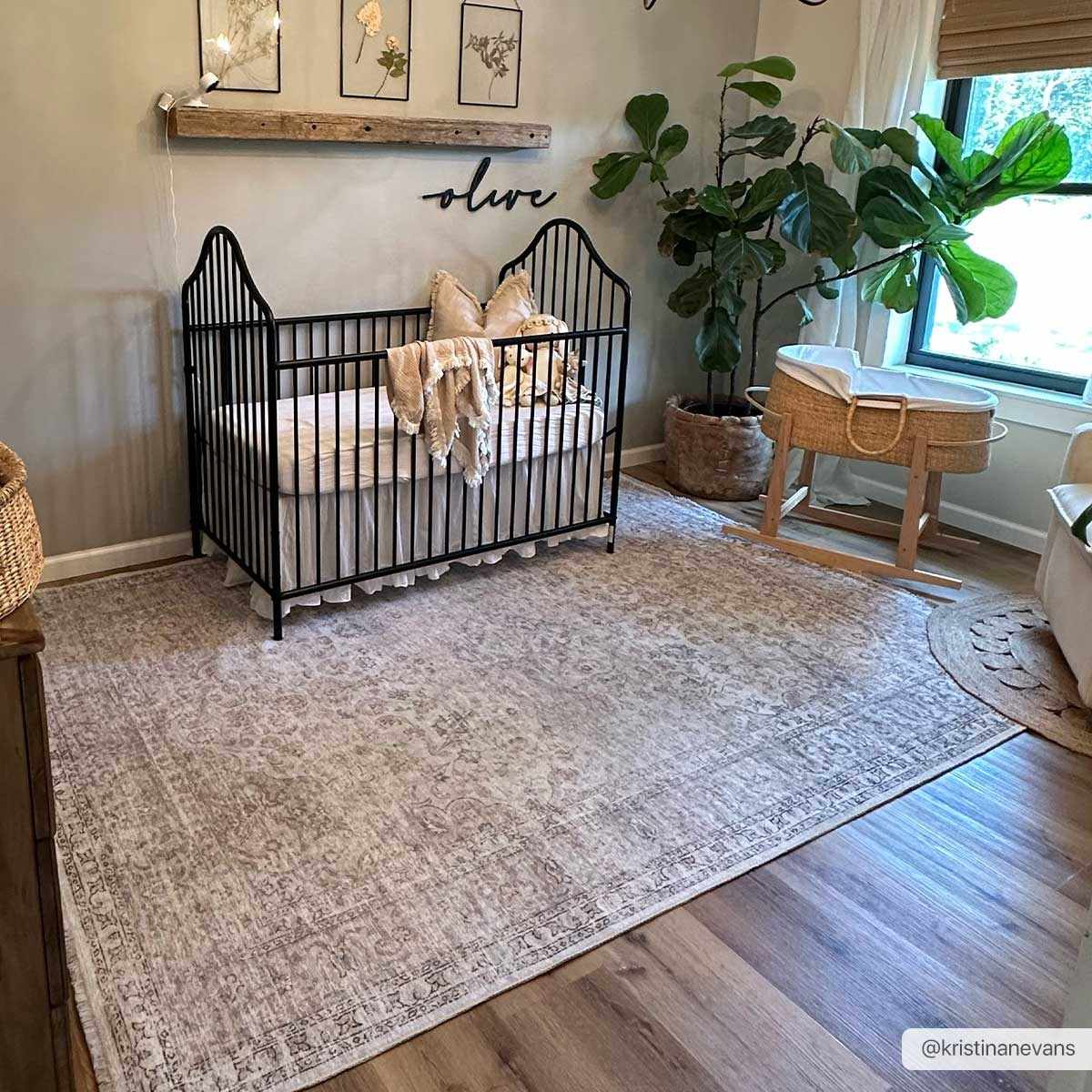 Cream Holi - 2301 Washable Area Rug - Quahog Bay Bedding