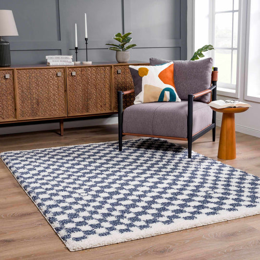 Kieu Blue & White Checkered Area Rug - Quahog Bay Bedding