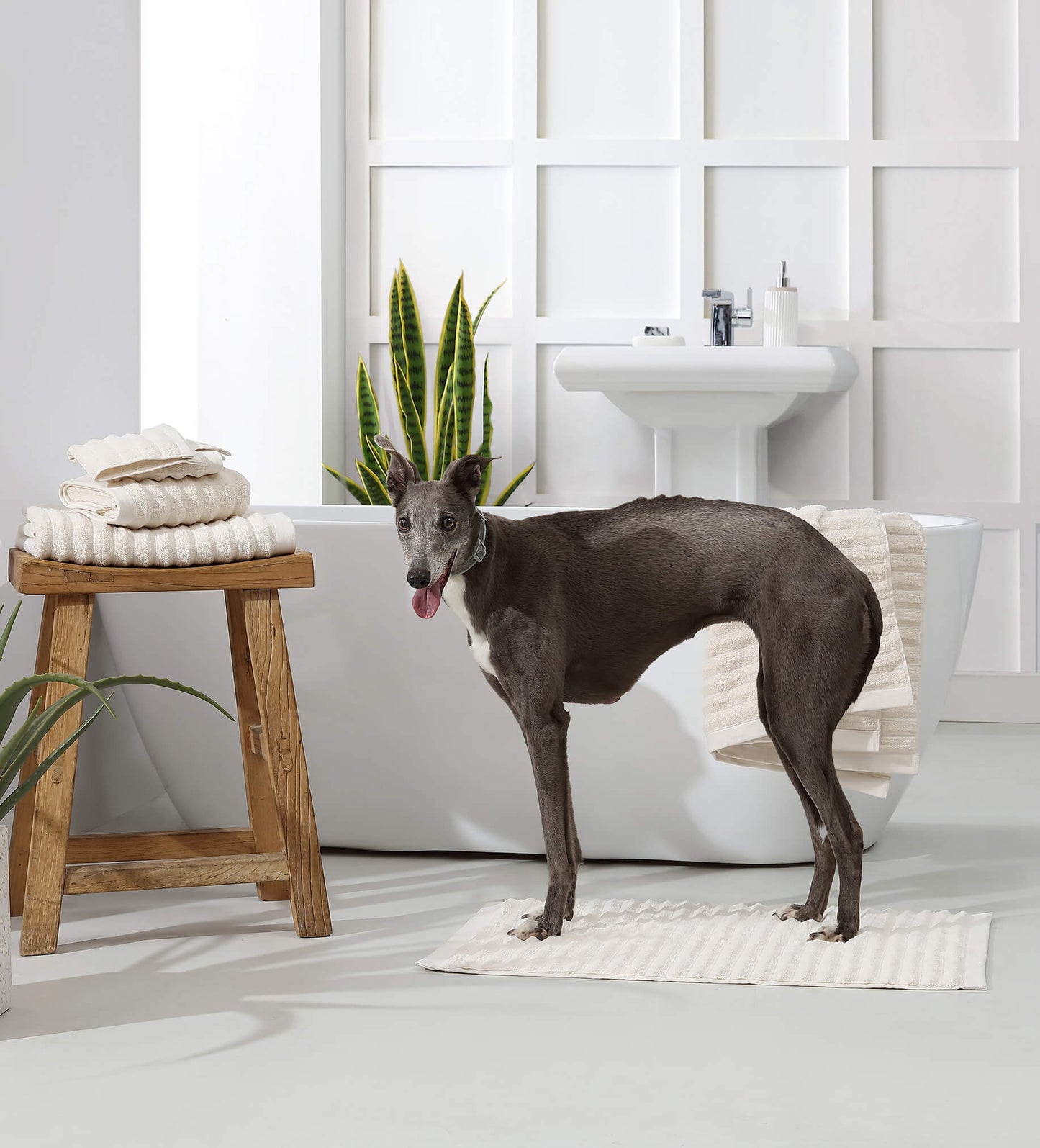 Luxury Turkish Cotton Rib Towel Set - Quahog Bay Bedding