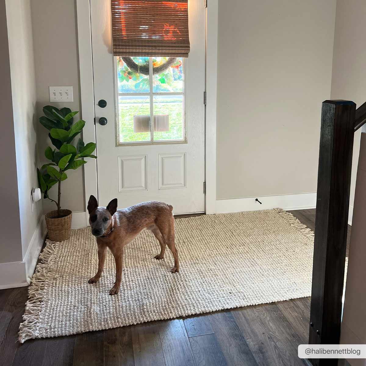 Senneterre Bleached Jute Rug - Quahog Bay Bedding