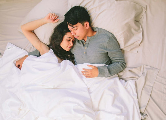 Silk Cloud Comforter - Organic Cotton Comforter - Quahog Bay Bedding