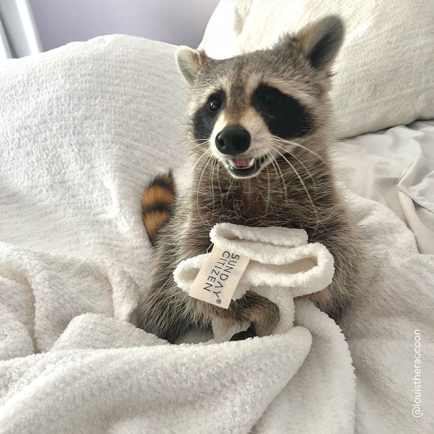 Snug Throw - Quahog Bay Bedding