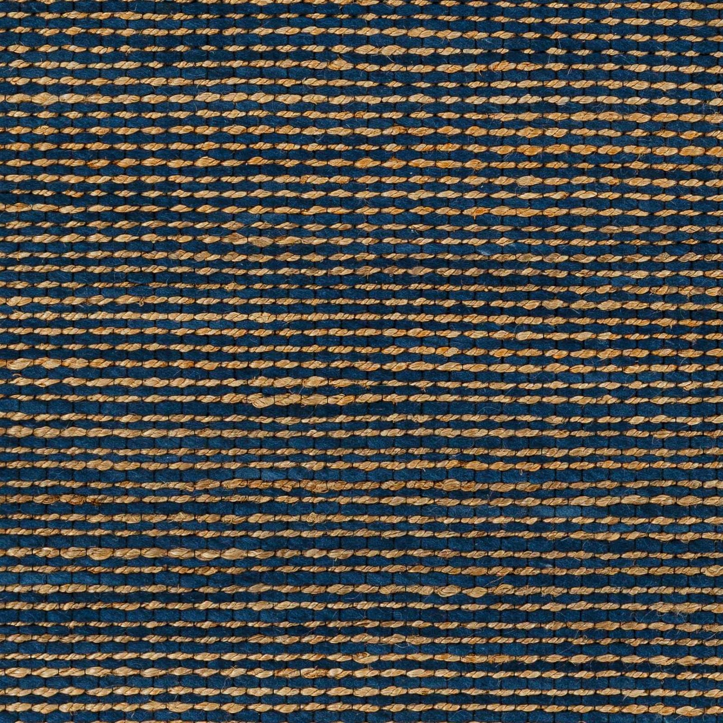 Riki Navy Area Rug