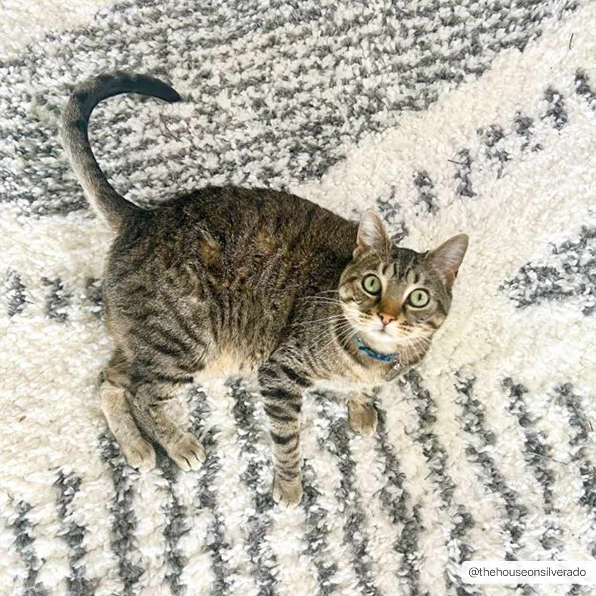 Trunding Plush Charcoal & Cream Area Rug - Plush Pile Rugs - Quahog Bay Bedding