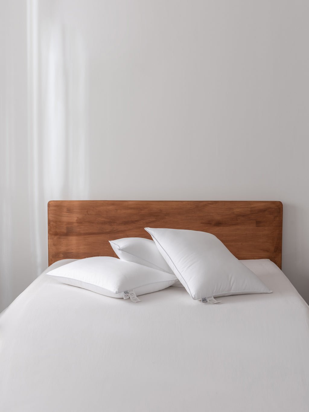 100% Vegan Plant - Based Pillow - Quahog Bay Bedding