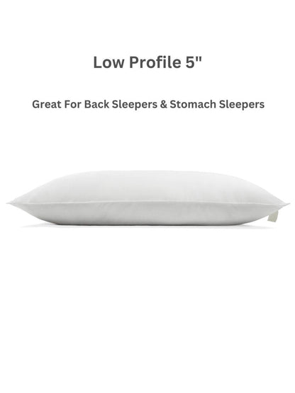 100% Vegan Plant - Based Pillow - Quahog Bay Bedding