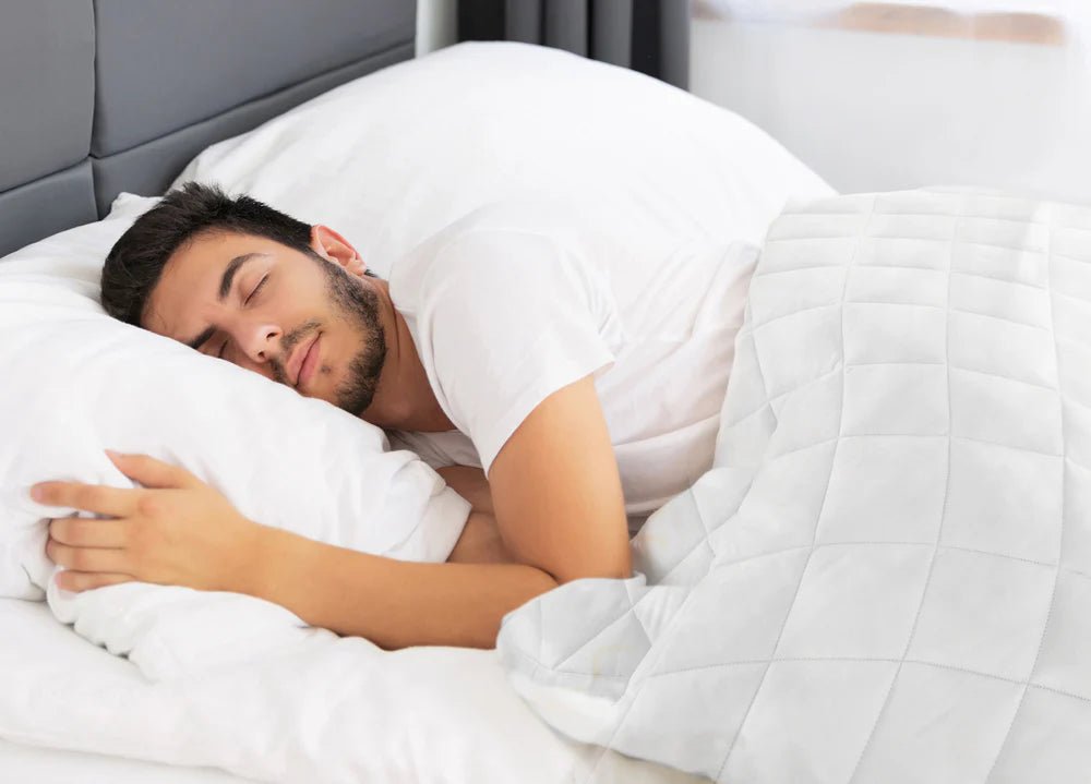 240 GSM Organic Cotton Filled Comforter - 100% Organic Cotton - Quahog Bay Bedding