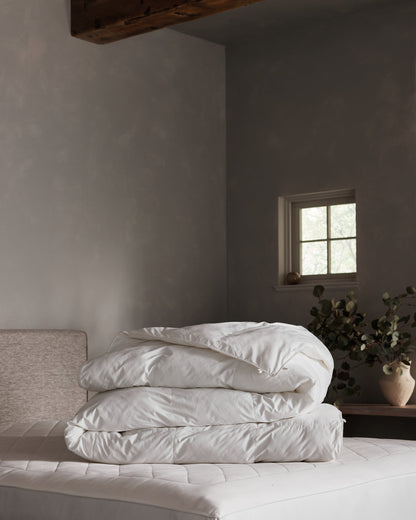 Down Alternative Comforter - Standard & Lightweight Fill Options