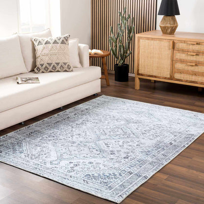 Barny Gray Flat Pile Washable Rug