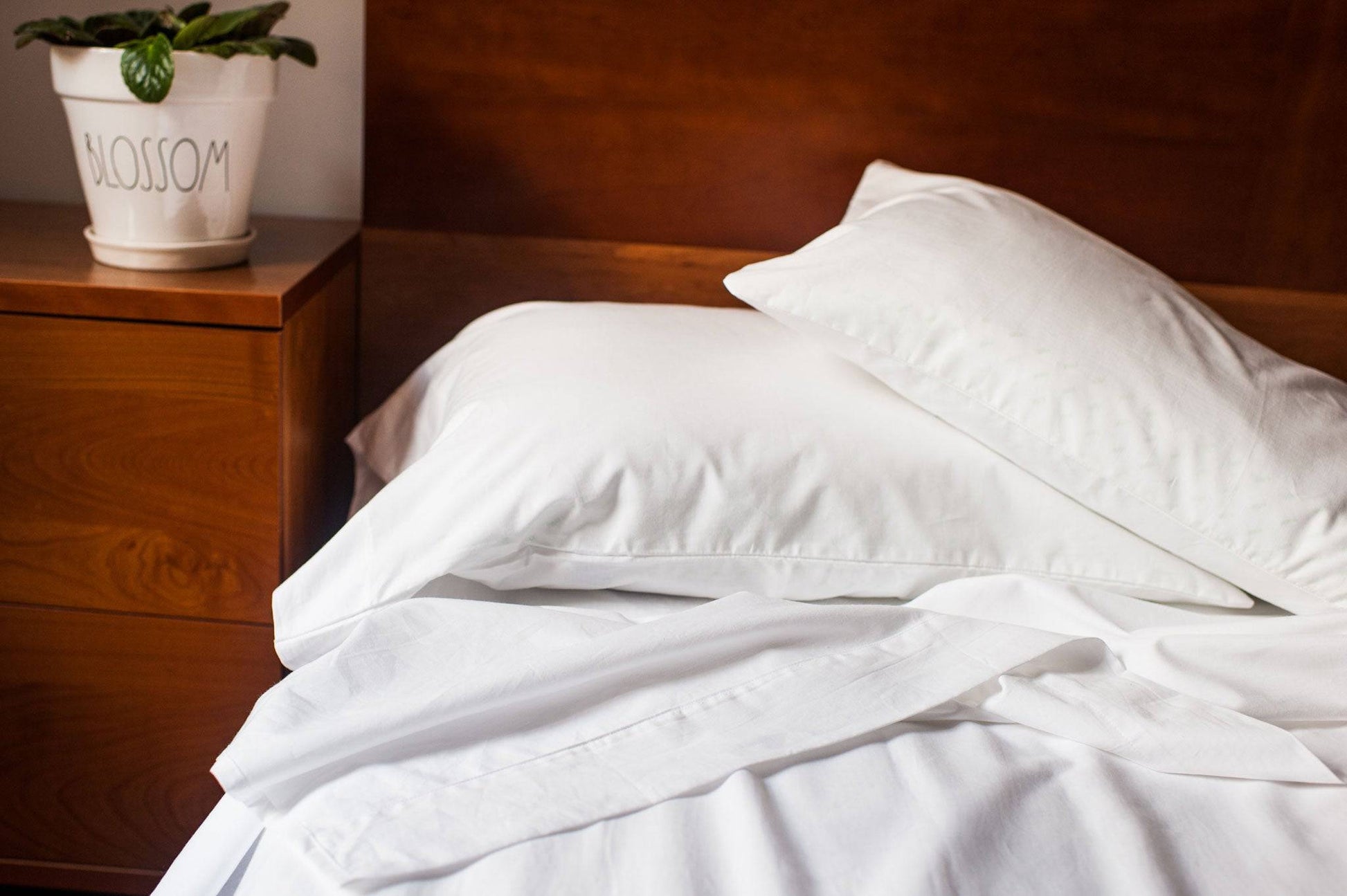 Quahog Bay Bedding