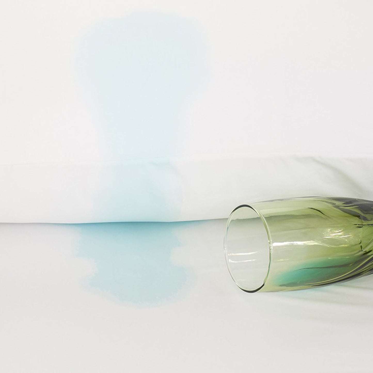 Bamboo Zippered Pillow Protector (1pk)