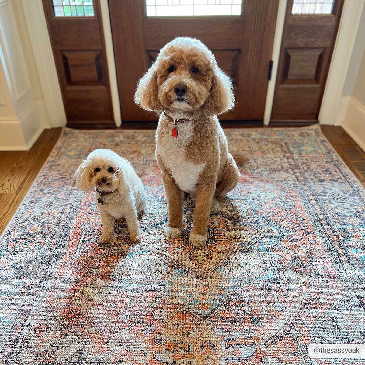 Beck Non-Slip Washable Rug