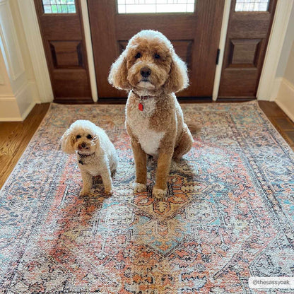 Beck Non-Slip Washable Rug