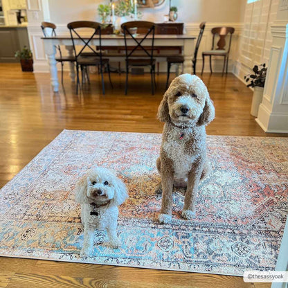Beck Non-Slip Washable Rug