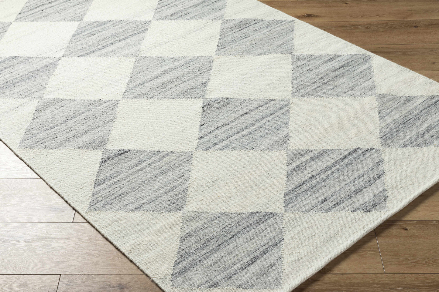 Andrin Light Gray Area Rug