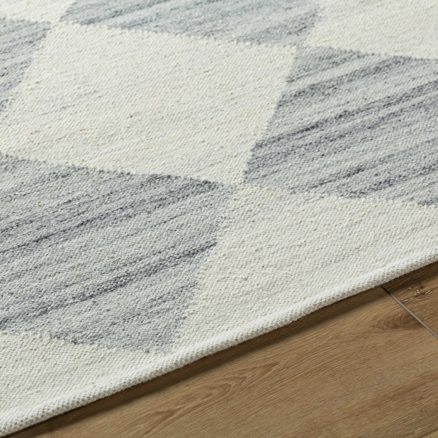 Andrin Light Gray Area Rug