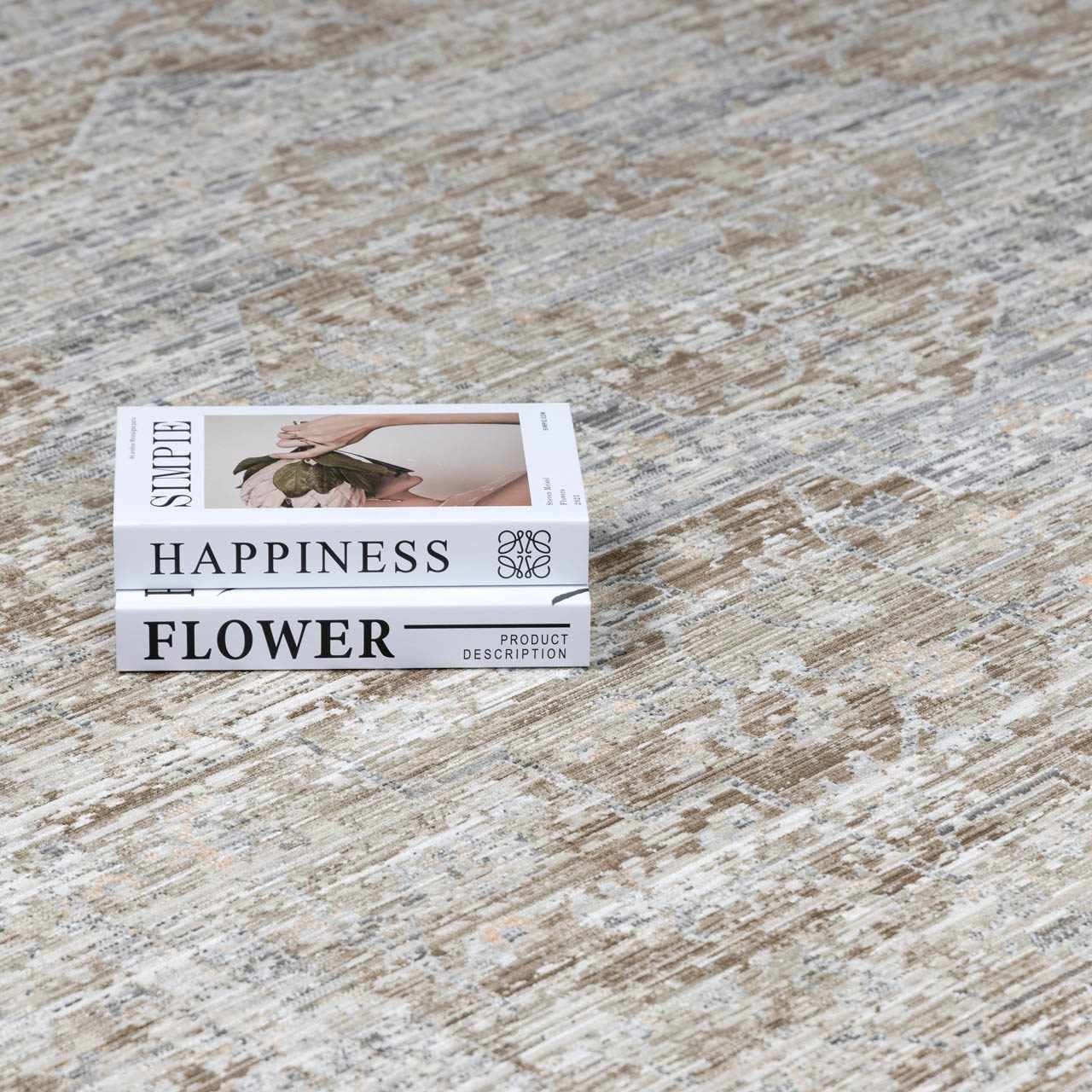 Aistys Washable Area Rug