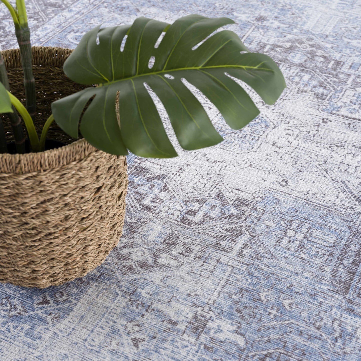 Pays  Area Rug - Clearance