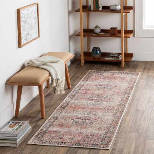 Dunsha Boutique Washable Area Rug - Clearance