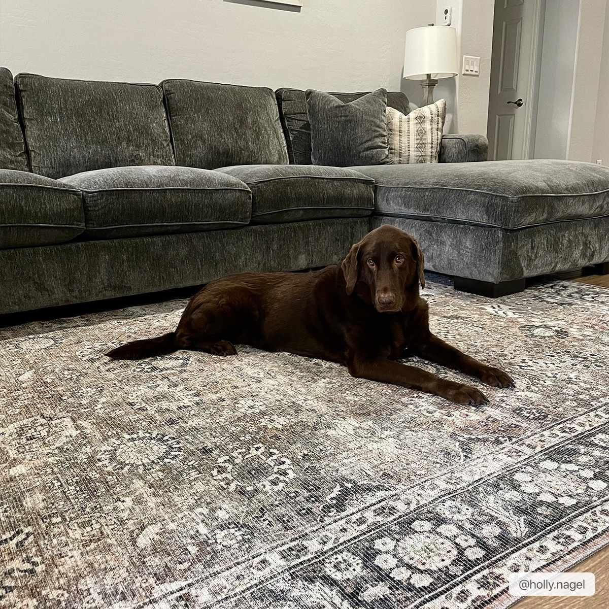 Ganyangan Washable Rug - Quahog Bay Bedding