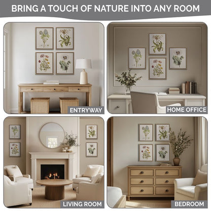 Herbal Botany 4-piece Botanical Illustration Framed Canvas Wall Art Set