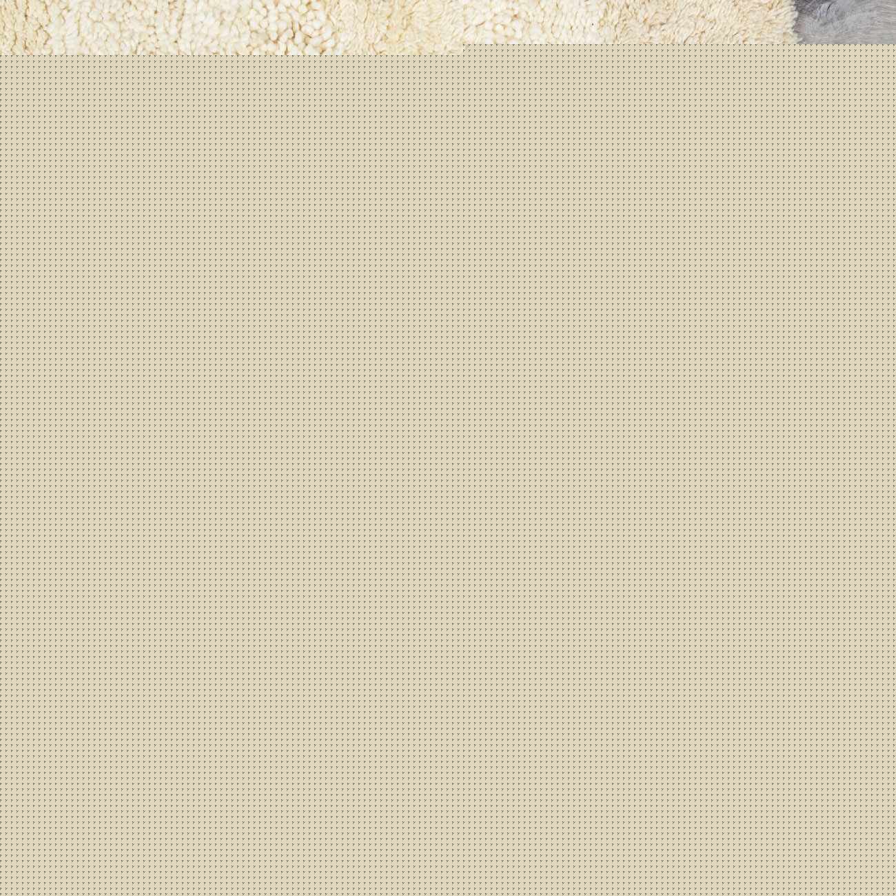 Kettering Solid Cream Wool Shag Rug