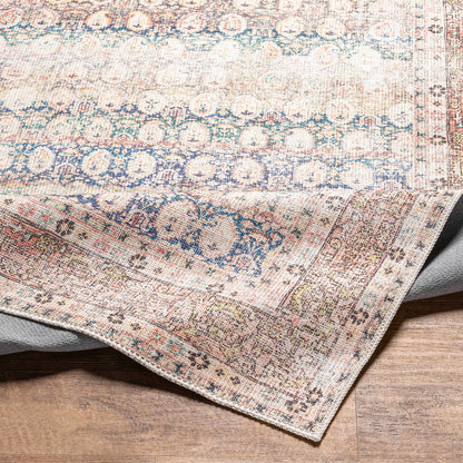 Maligaya Distressed Washable Rug - Clearance