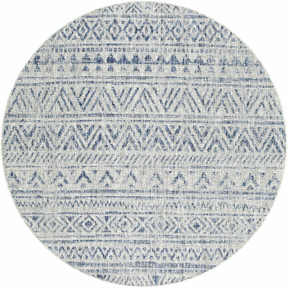 Novato Blue & Light Blue All Over Pattern Performance Rug