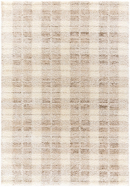 Anfisa Cream Luxe Shag Area Rug