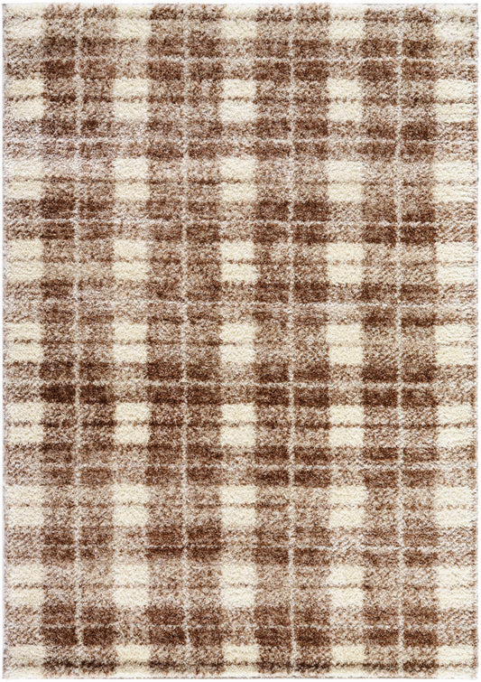 Anfisa Beige Luxe Shag Area Rug