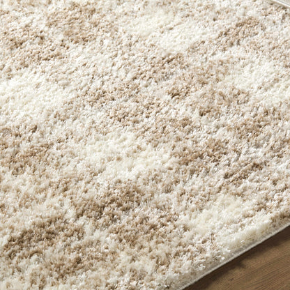 Anfisa Beige Luxe Shag Area Rug