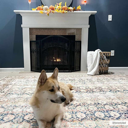 Maligaya Distressed Washable Rug - Clearance