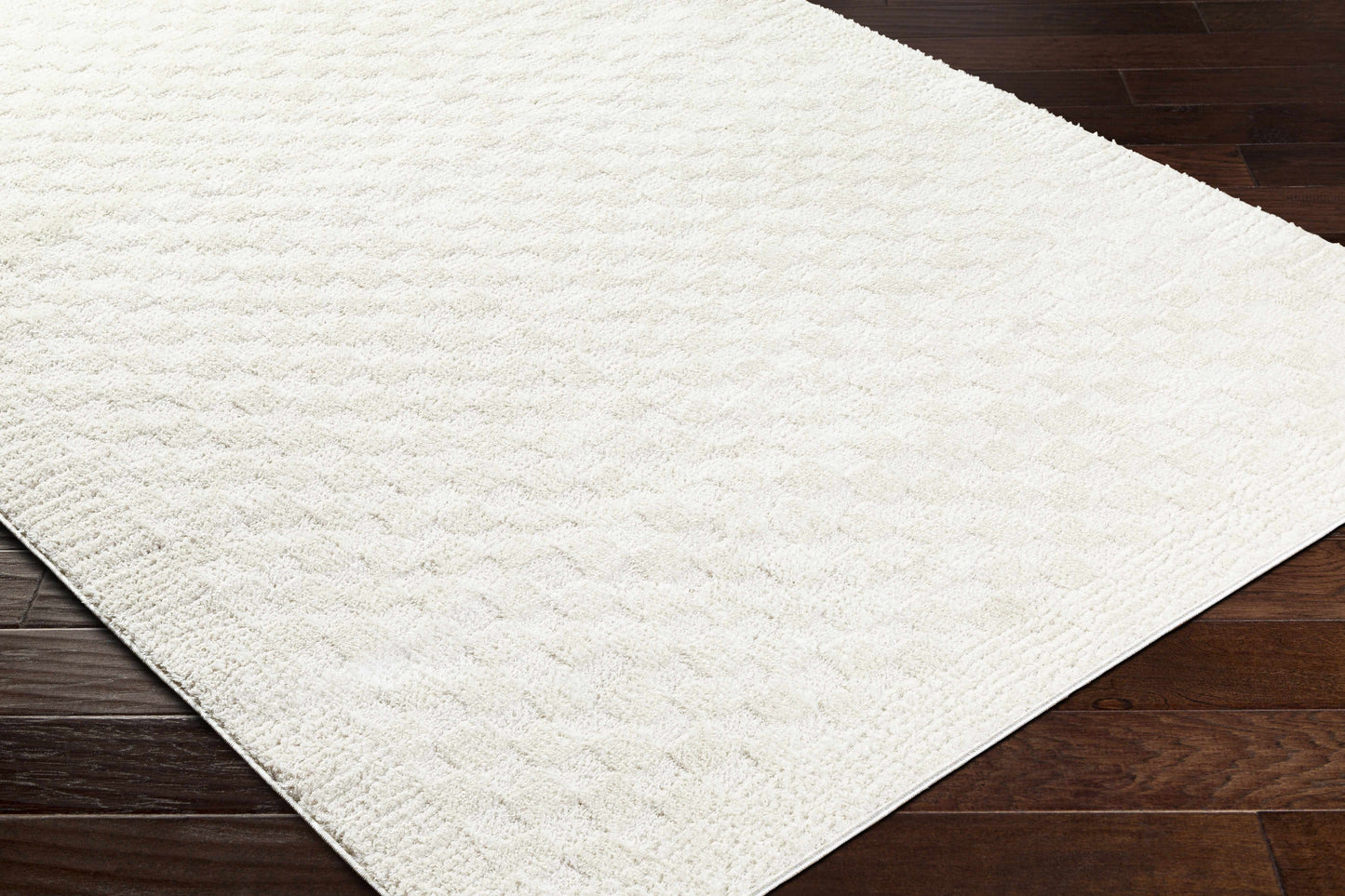 Leryn Ivory Checkered Area Rug