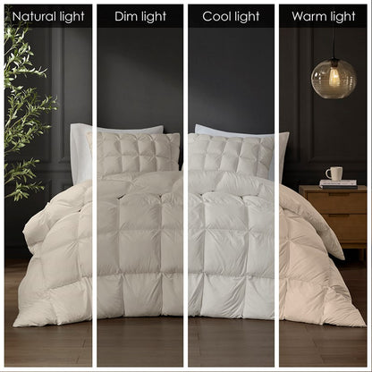 Madison Park Stay Puffed Overfilled Down Alternative Comforter - Tan