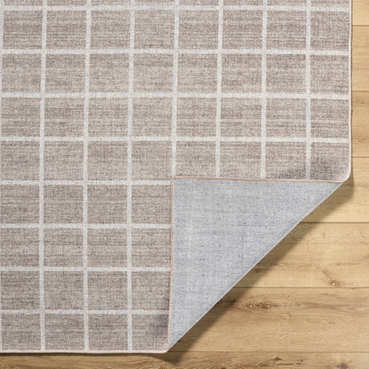 Anicet Checkered Washable Wool Area Rug