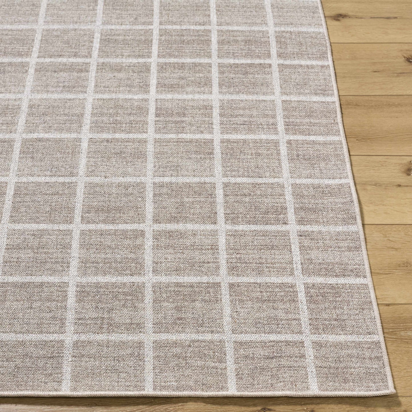 Anicet Checkered Washable Wool Area Rug