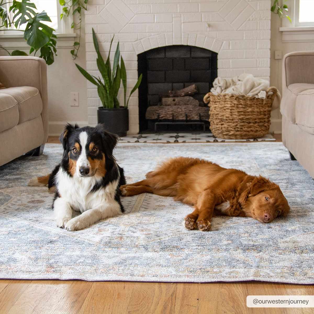 Afya Boutique Washable Rug - Quahog Bay Bedding