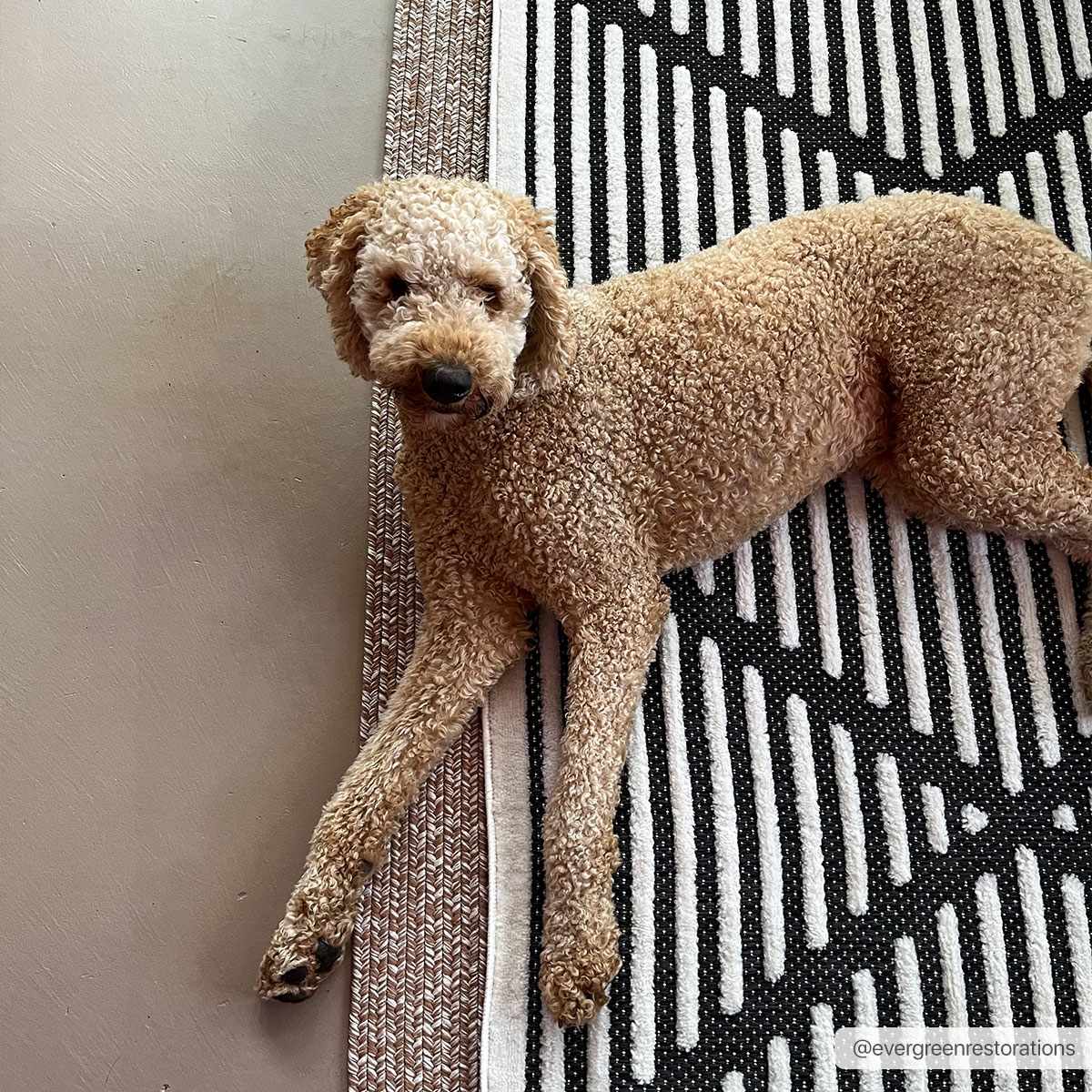 Anah 3D Black Outdoor Rug - Quahog Bay Bedding