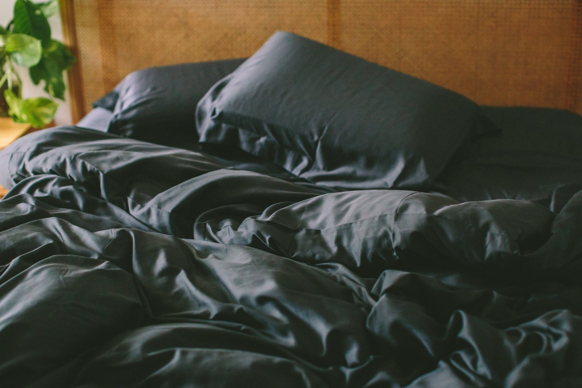 Bamboo Duvet Cover Set + Shams - Quahog Bay Bedding