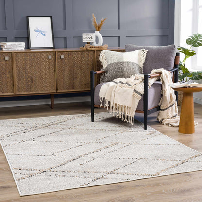 Baqer Bone & Tan Textured Performance Rug - Clearance - Quahog Bay Bedding