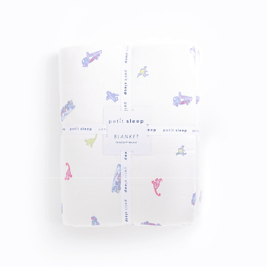 Blanket - Planes, Trucks & Dinos - Quahog Bay Bedding