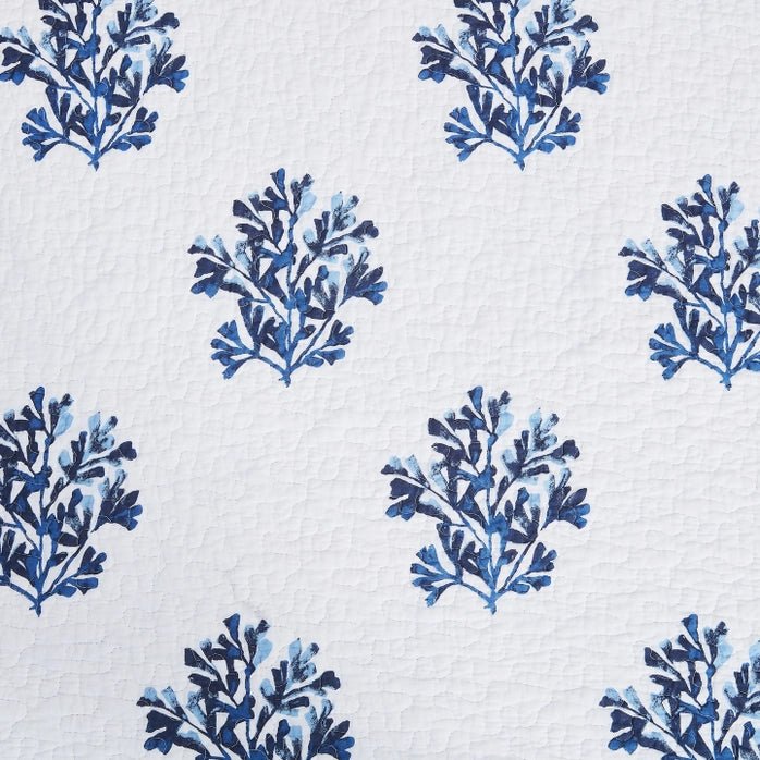 Blue Coast Shells Coastal Quilt Set- Coastal Quilt Set - Quahog Bay Bedding