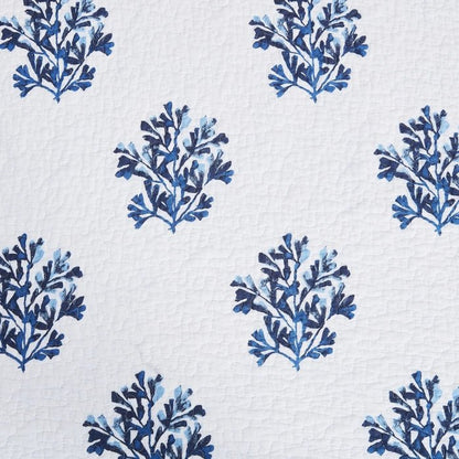 Blue Coast Shells Coastal Quilt Set- Coastal Quilt Set - Quahog Bay Bedding