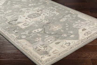 Broomfield 1196 Hand Tufted Taupe Wool Rug - Quahog Bay Bedding