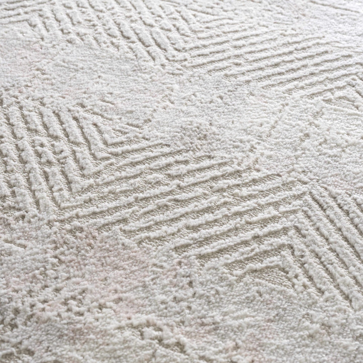 Bucky Area Rug - Quahog Bay Bedding